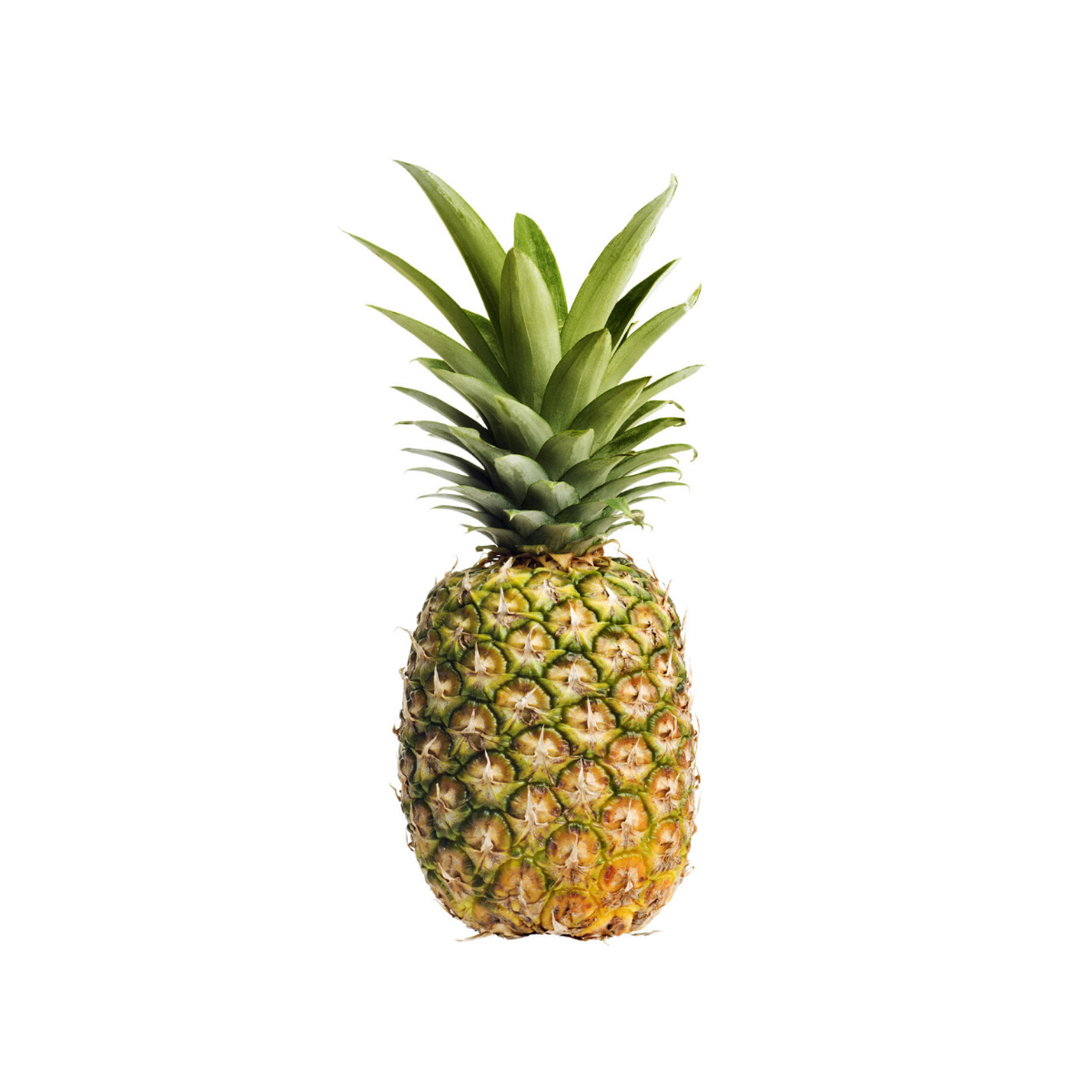 Telman: Pineapple